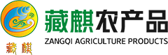 大香蕉网站伊人免费_伊人在线大香蕉_大香蕉网站
